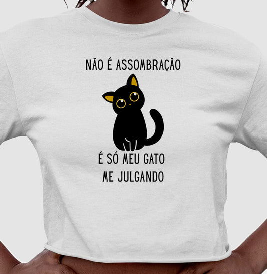 Gatinho Julgador